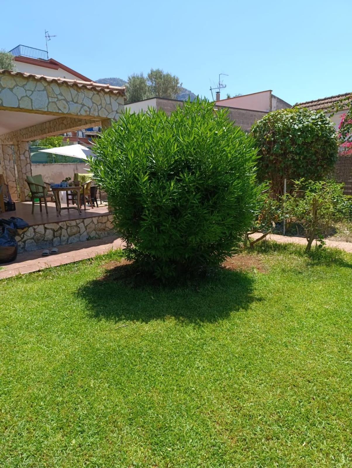 Casa In Giardino A Pochi Passi Dal Mare Villa Palermo Exterior photo